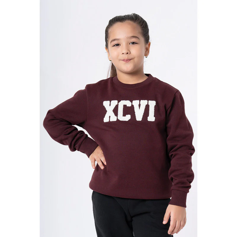 Kids Unisex Maroon Melange Embroidered Sweatshirt - Image 3