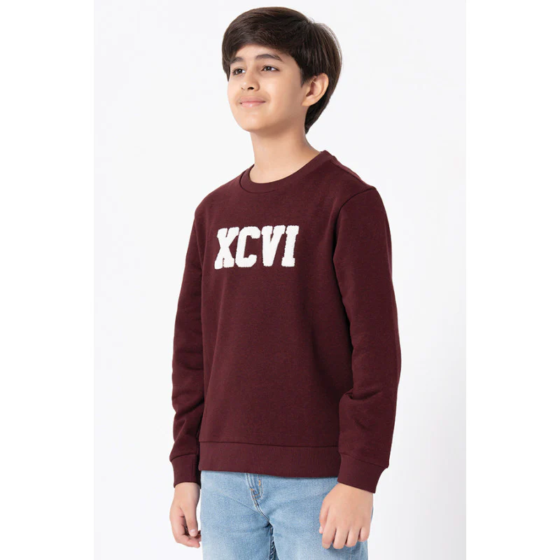 Kids Unisex Maroon Melange Embroidered Sweatshirt - Image 4