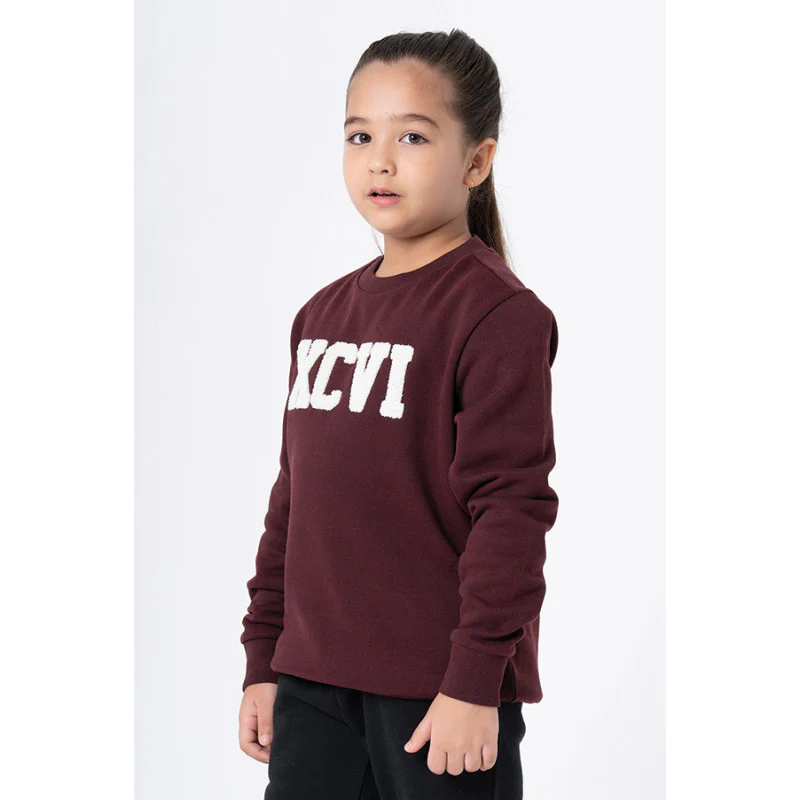Kids Unisex Maroon Melange Embroidered Sweatshirt - Image 5