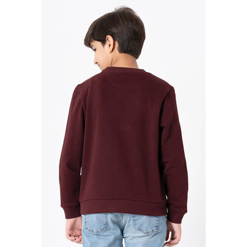 Kids Unisex Maroon Melange Embroidered Sweatshirt - Image 6