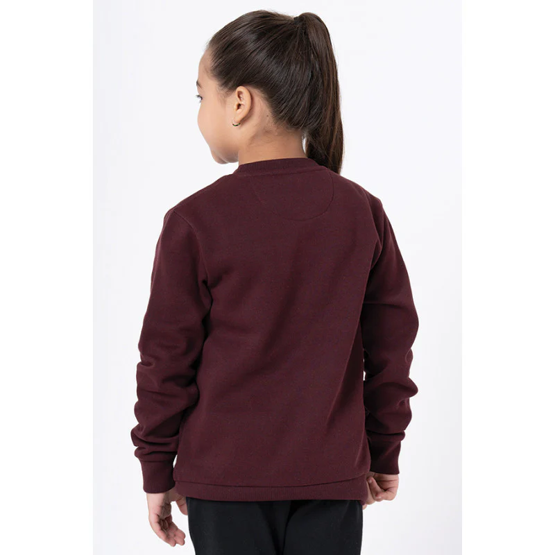 Kids Unisex Maroon Melange Embroidered Sweatshirt - Image 7