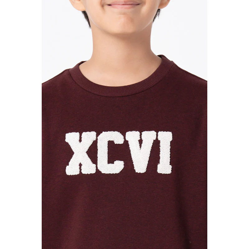 Kids Unisex Maroon Melange Embroidered Sweatshirt - Image 8