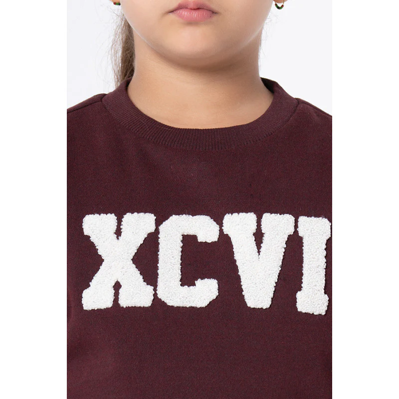 Kids Unisex Maroon Melange Embroidered Sweatshirt - Image 9