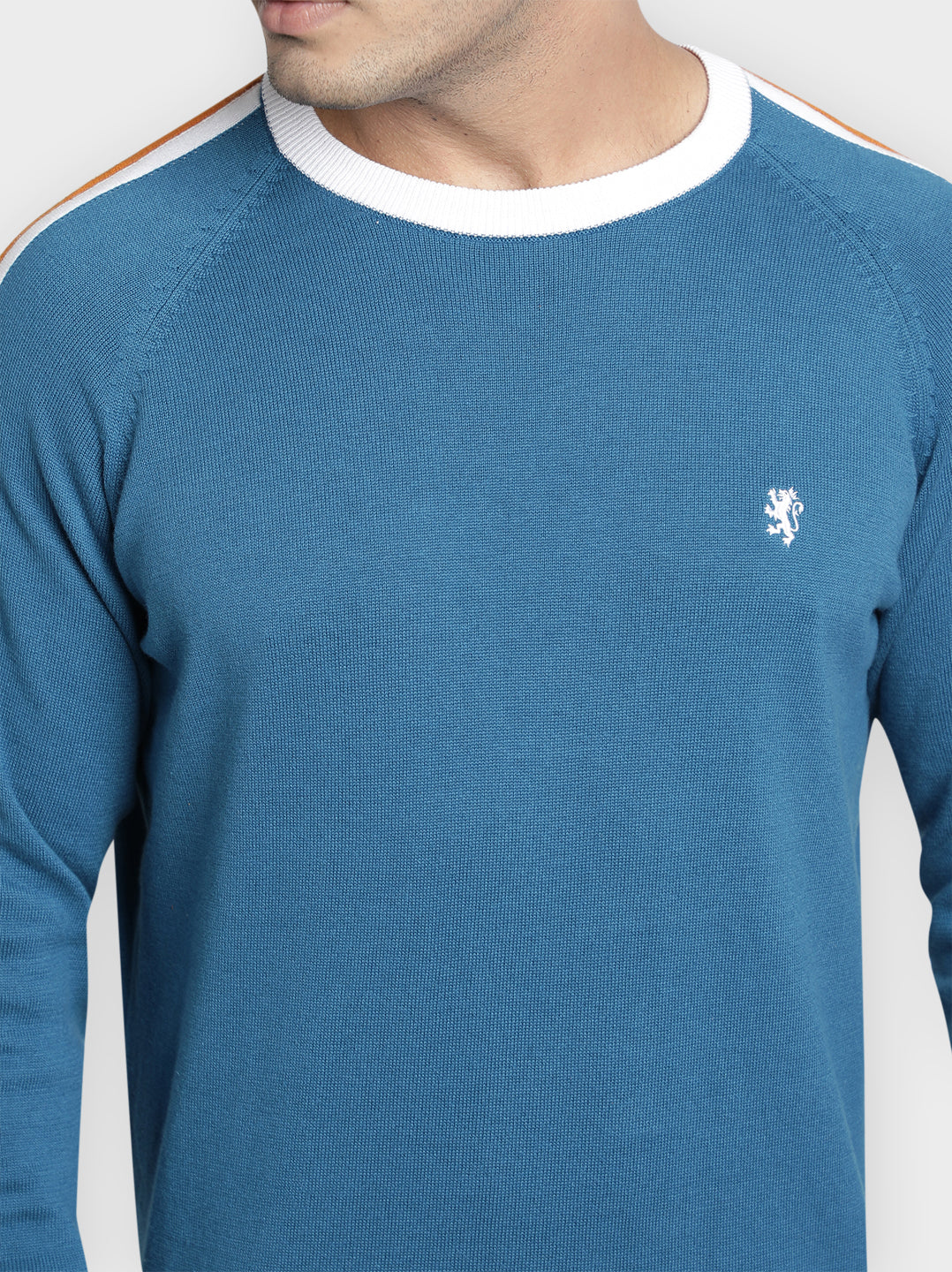 Men's Blue Solid Pure Cotton Sweater - Image 4
