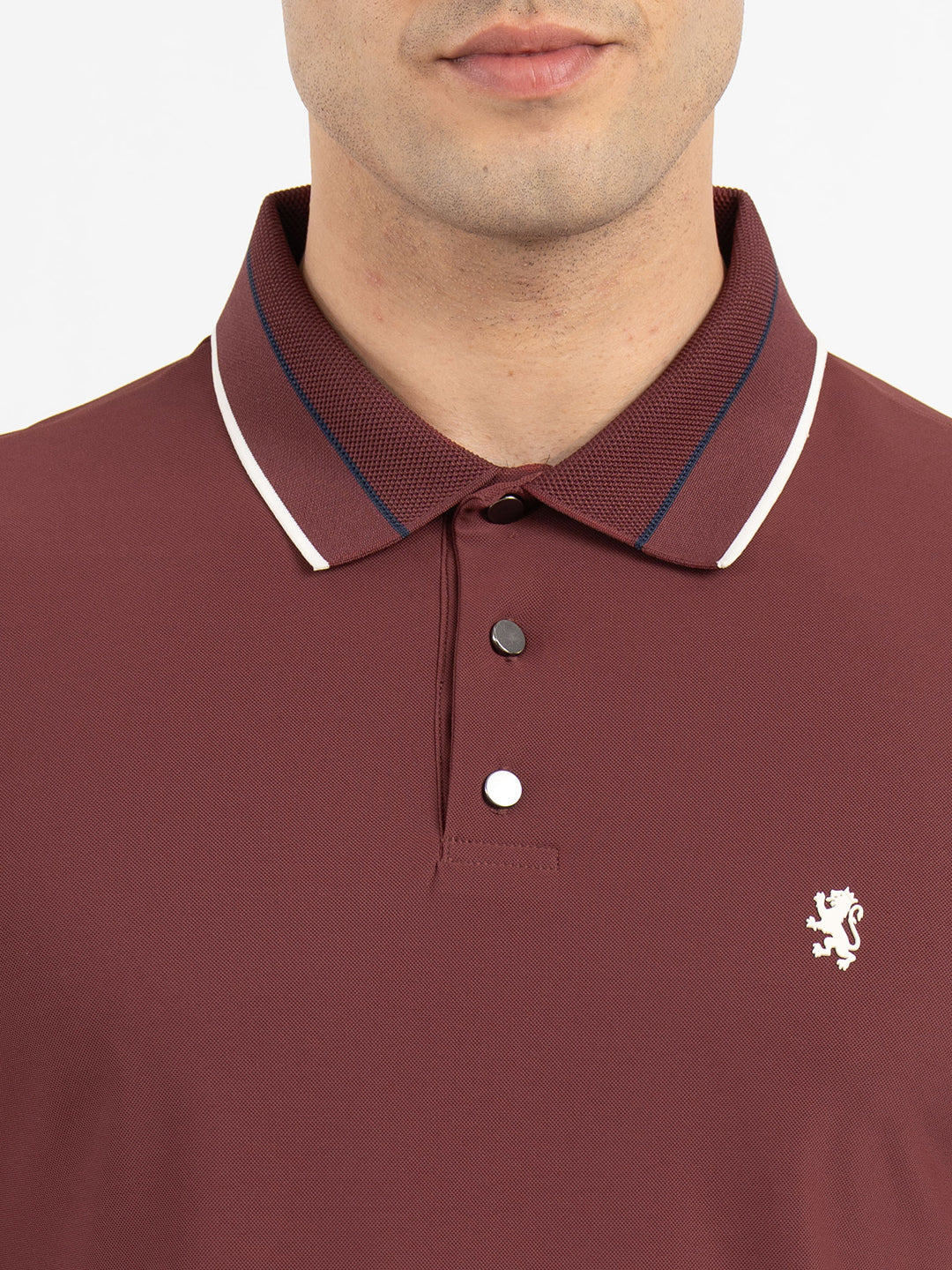 T Shirts for Men in Brick | Polo Half Sleeve T Shirt - Image 4