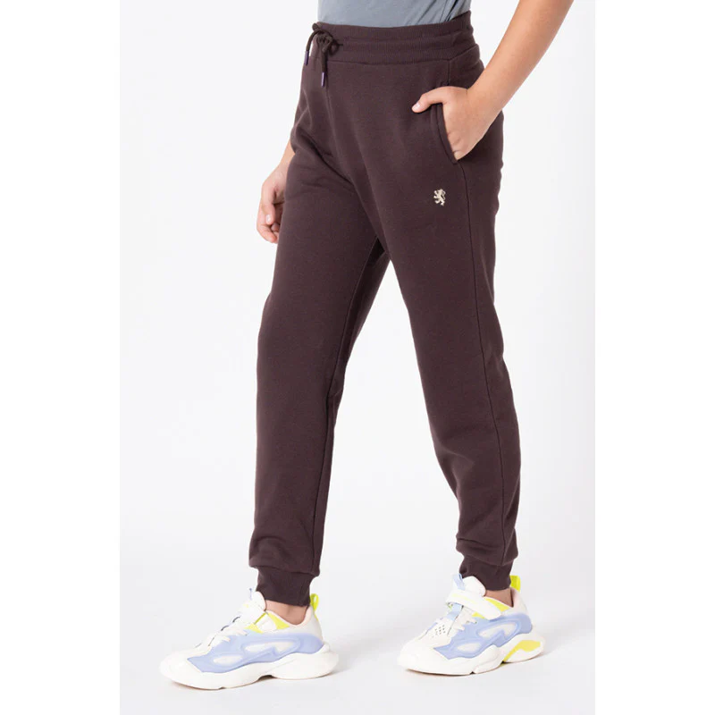 Boy's Brown Solid Jogger - Image 2