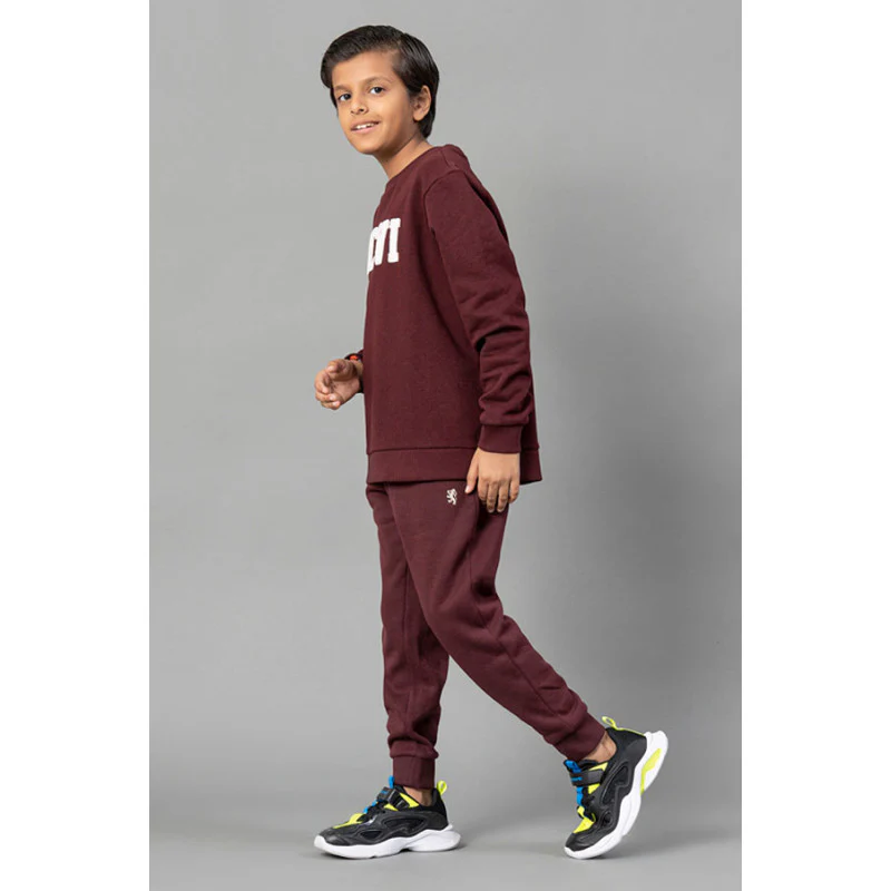 Boys Maroon Melange Solid Jogger - Image 5