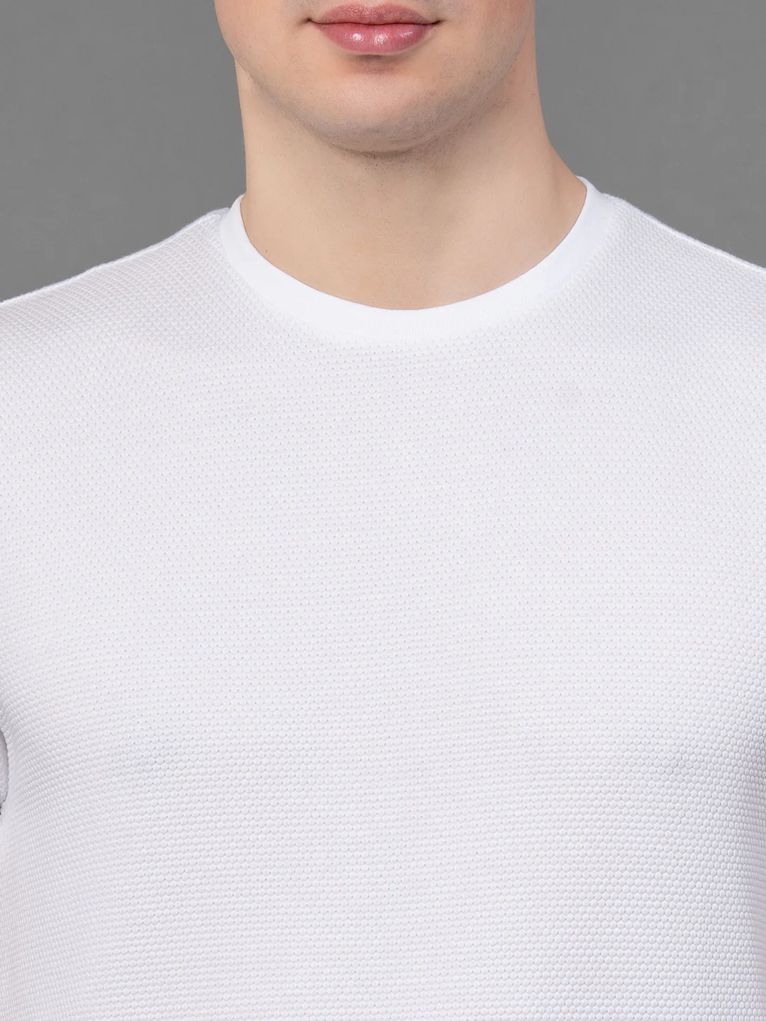 Round Neck T-Shirt for Men - Image 4